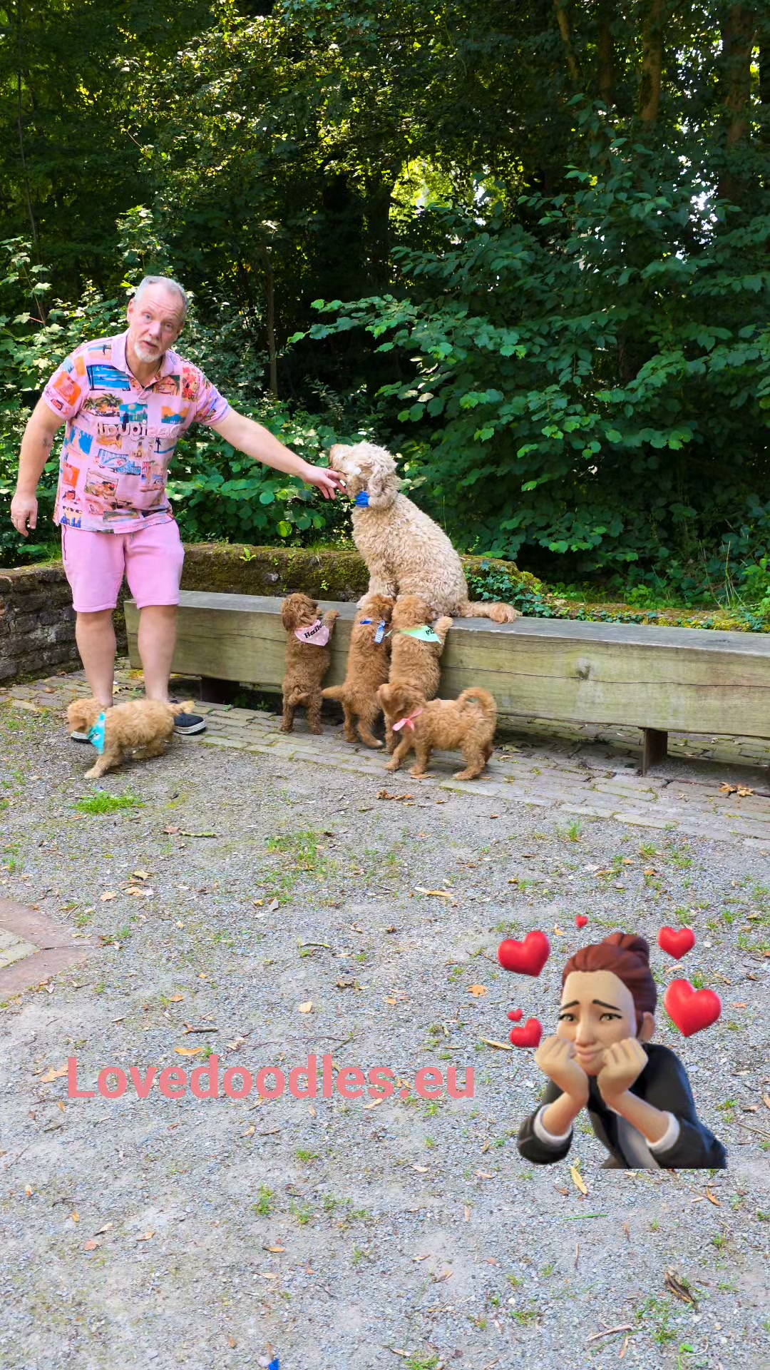 LoveDoodles