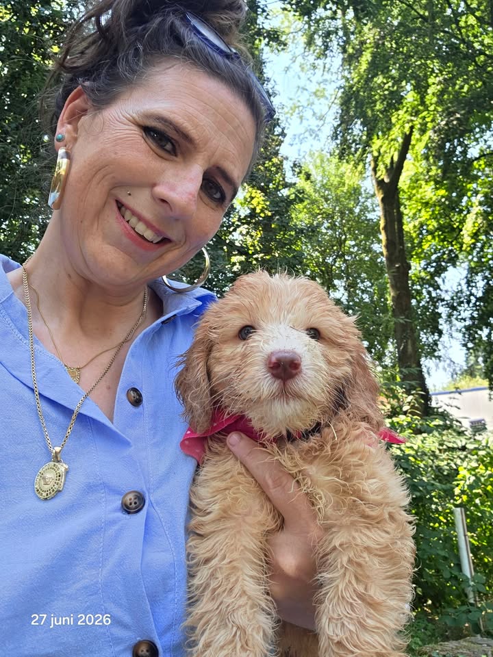 LoveDoodles